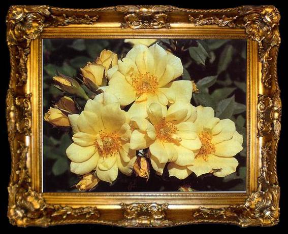 framed  unknow artist Still life floral, all kinds of reality flowers oil painting  238, ta009-2